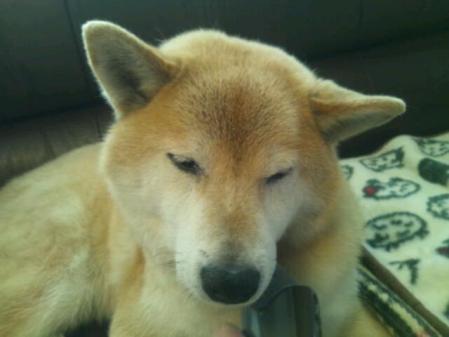 20130308_125023.jpg
