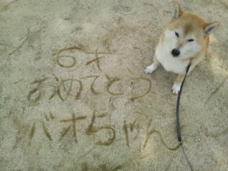 20130410_125015.jpg