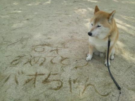 20130410_125146.jpg