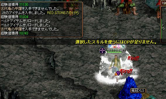カメ1.jpg