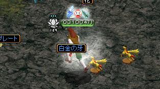 6月13日5.jpg