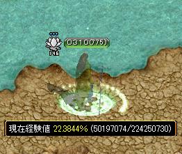 12月6日2.jpg