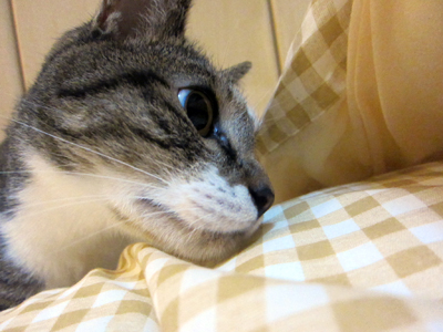 110928_4840.jpg