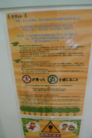 14_20130713153500.jpg