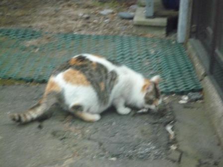 2_20130704184428.jpg