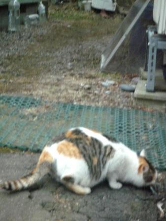 3_20130704184430.jpg