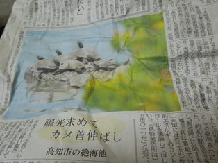 記事
