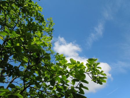 青空