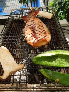 イカ焼き