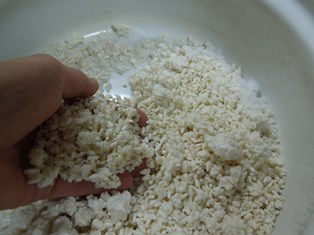 麹と塩1