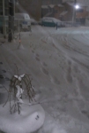 IMG_20140208_175450.jpg