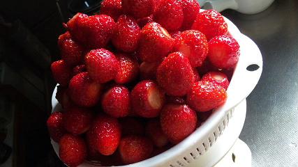 2013_03270202.jpg