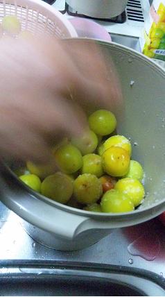 2013_06300216.jpg