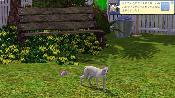 20120407a1.jpg