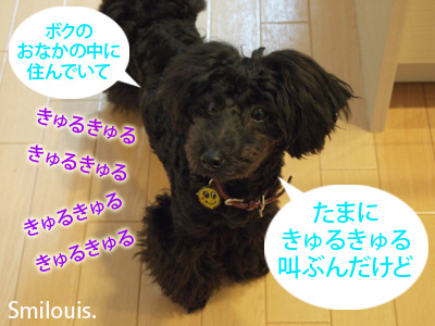 smilouis120420_2.jpg