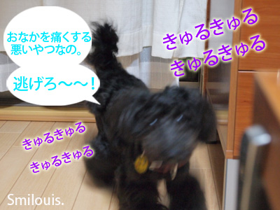 smilouis120420_3.jpg