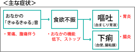 smilouis120420_qr.jpg