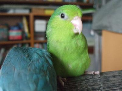 1306147.jpg