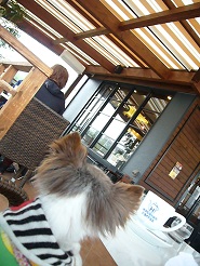2013050502.jpg