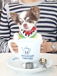 2013050505.jpg