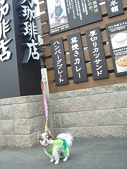 2013050508.jpg