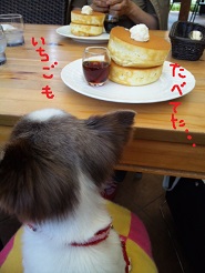 2013050512.jpg