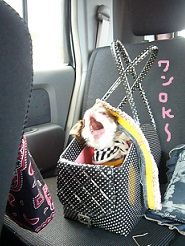 2013050513.jpg
