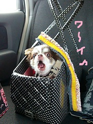 2013050514.jpg