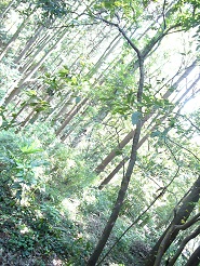 2013050524.jpg