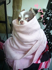 2013050525.jpg