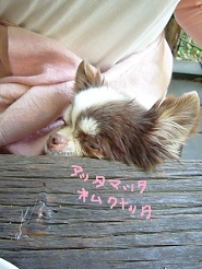 2013050530.jpg