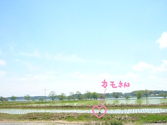 2013051213.jpg