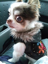 2013051501.jpg