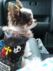 2013051502.jpg