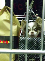 2013051503.jpg