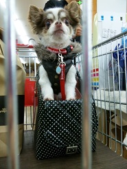 2013051504.jpg
