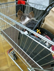 2013051505.jpg