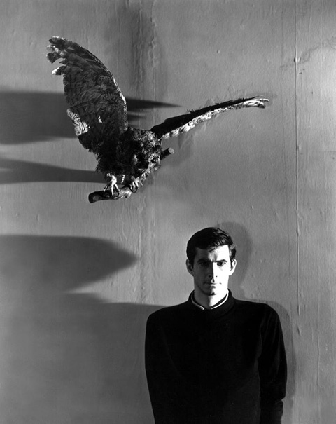 Psycho_stuffed_bird.jpg