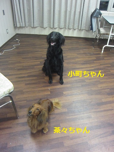 20111007o
