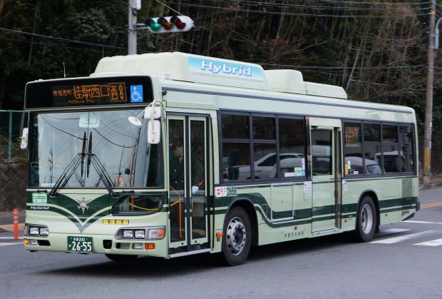7f8.jpg
