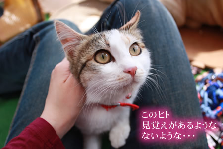 朝の美姫ちゃん。