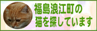 1312989279FZoFleDn_20111108011129.gif