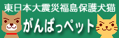 ganba_pet_20111108010632.gif