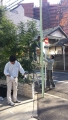 イルミネーション!