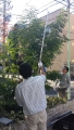 ツリー♪