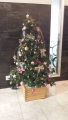Xmas☆
