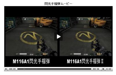 fmj.jpg