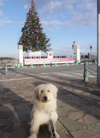131203-4.jpg