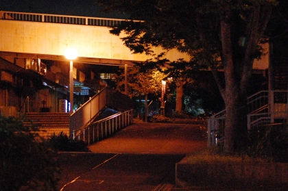20141008b.jpg