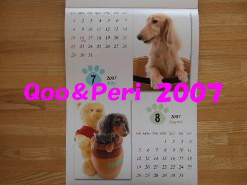 2007-5-thumbnail2.jpg